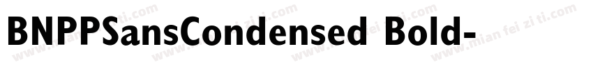 BNPPSansCondensed Bold字体转换